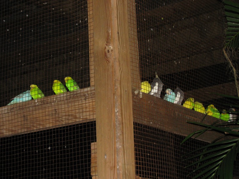 Dominican Republic 143.jpg